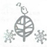 No.11(2023年1月31日)